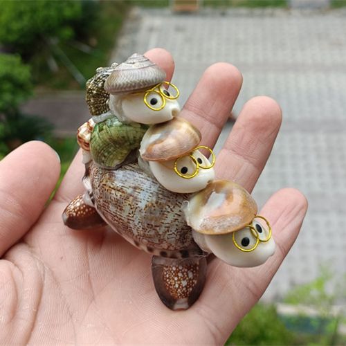 热卖海螺贝壳工艺品手工三只乌龟小海龟博士儿童海螺