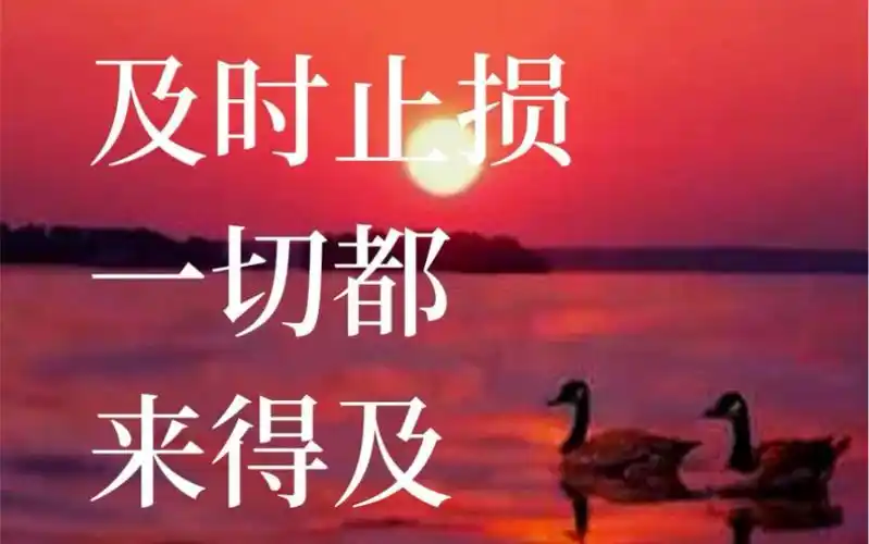 书法声控丨感情这种东西该放手时就该放手