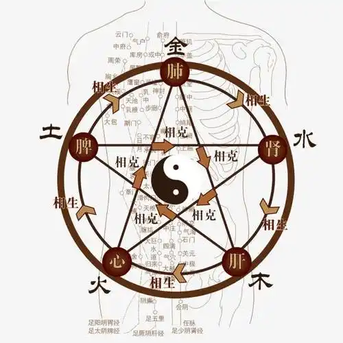 人体五脏六腑十二经络的干支八卦五行属性,以及它们的对应关系简表