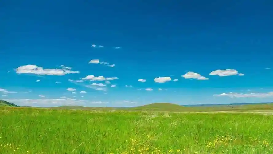 82张护眼电脑桌面壁纸,超多超全,唯美漂亮