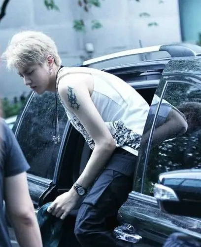 吴亦凡手臂漂亮的图腾刺青 - 798纹身网