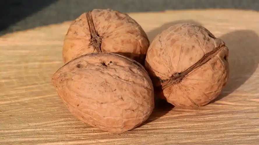 干果核桃图片(10/12)