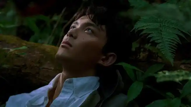 吴磊电影草木人间