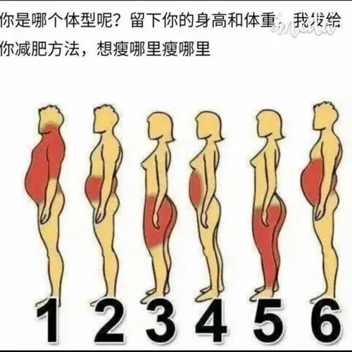 看看你是哪一种情况,留下你的身高体重,给你适合自己的减肥方案!