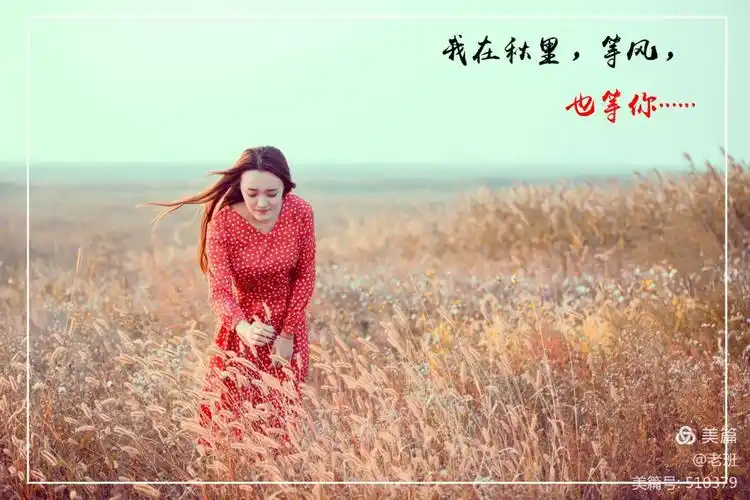 我在秋里,等风,也等你