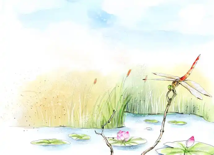 蜻蜓点水手绘画psd素材下载