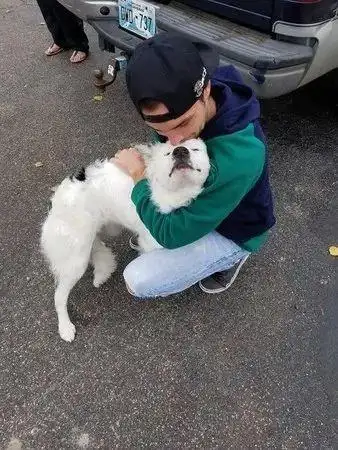 皮肤病流浪狗一碰就痛,不敢亲人,见新爸扑上去抱抱撒娇