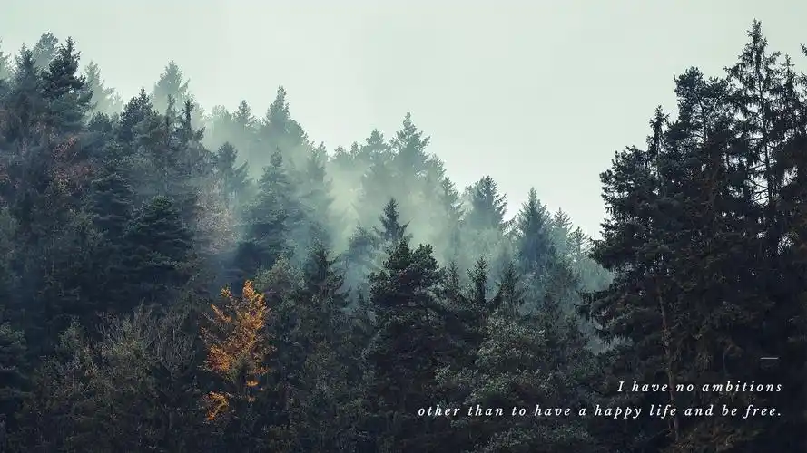 【高清风景电脑壁纸】cr.稿定设计小清新/文艺/无水印/天空/大海