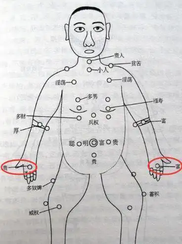 在这个地方有痣的人,人脉广,财运好一生富贵