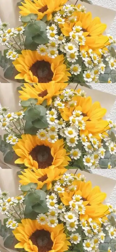 向日葵 全屏壁纸 ins风 花束壁纸