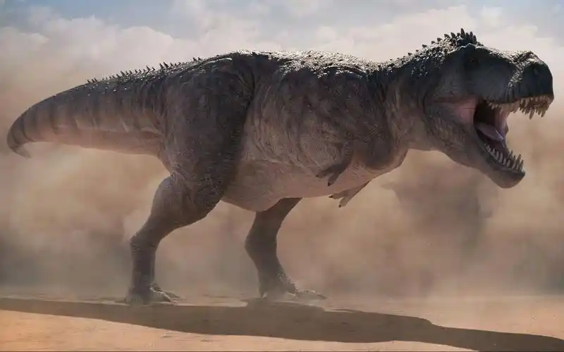 它应该叫霸王龙还是叫暴龙末代君王的前世今生