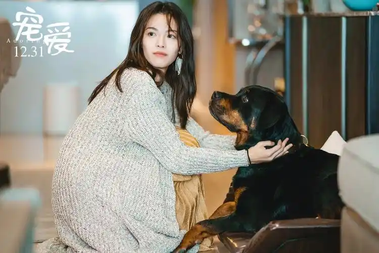 电影《宠爱》,投资小心骗局,你如何看待?