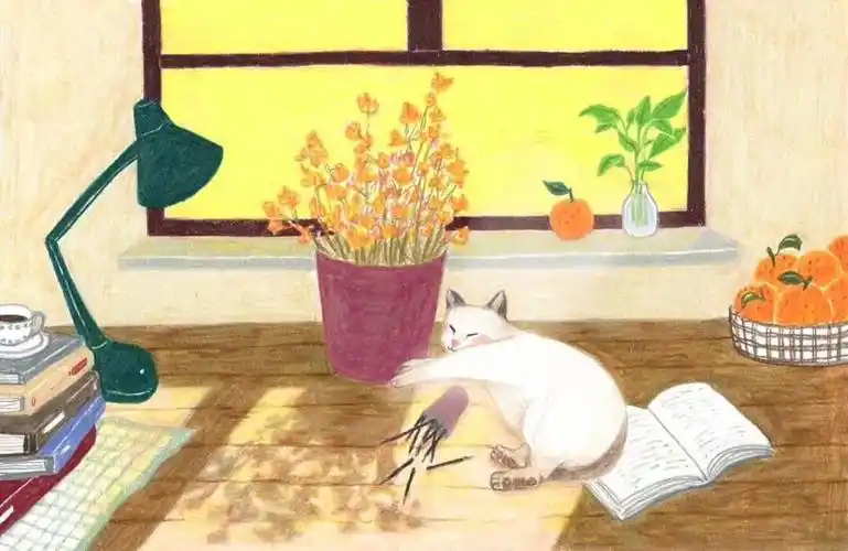 2019年9月15日 18:04   关注  插画 治愈系 生活