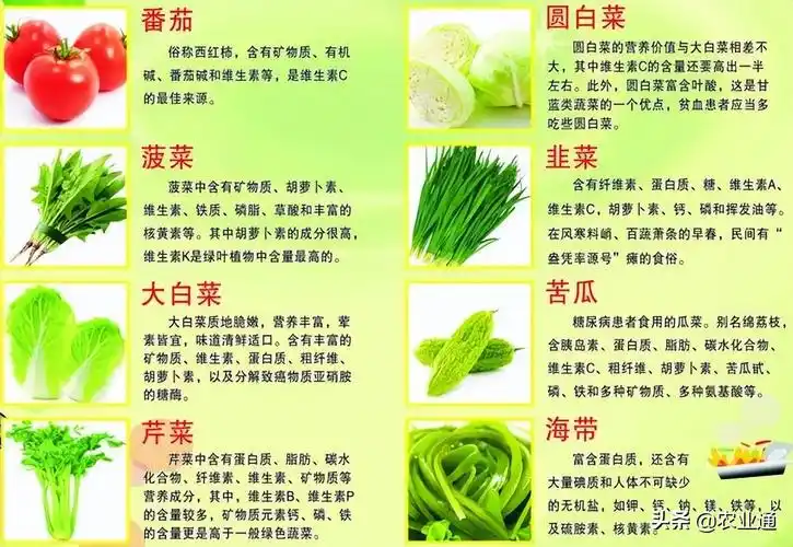 常见蔬菜名称大全(春夏秋冬应季蔬菜对照表)