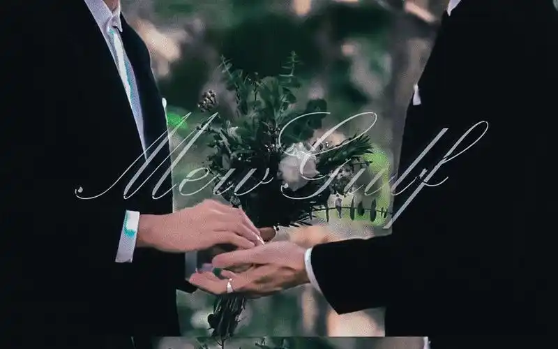 与爱同居 mewgulf 缪糕 - 堆糖,美图壁纸兴趣社区