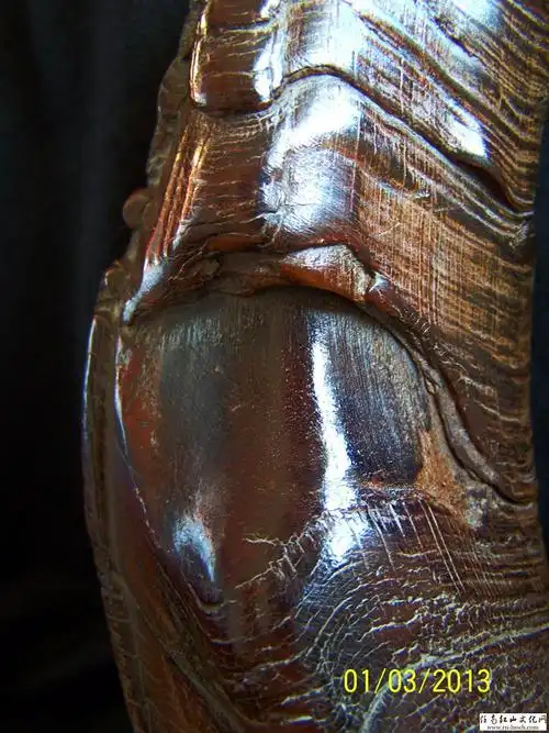 整根犀牛角 - 中华古玩论坛 - 任南红山文化官网 红山文化,玉器鉴定