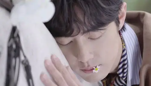 时尚芭莎|肖战 - 堆糖,美图壁纸兴趣社区