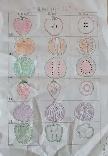 横切和竖切的水果蔬菜呈现不同的形态,是不是很有趣?