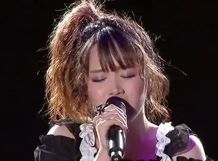 2016超级女声全国总冠军圈第九季