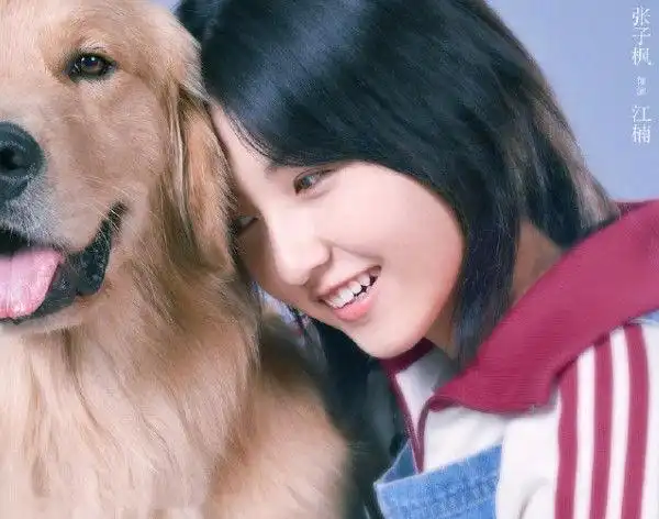 继摩登年代后徐峥张子枫再次合作新电影名字充满治愈风