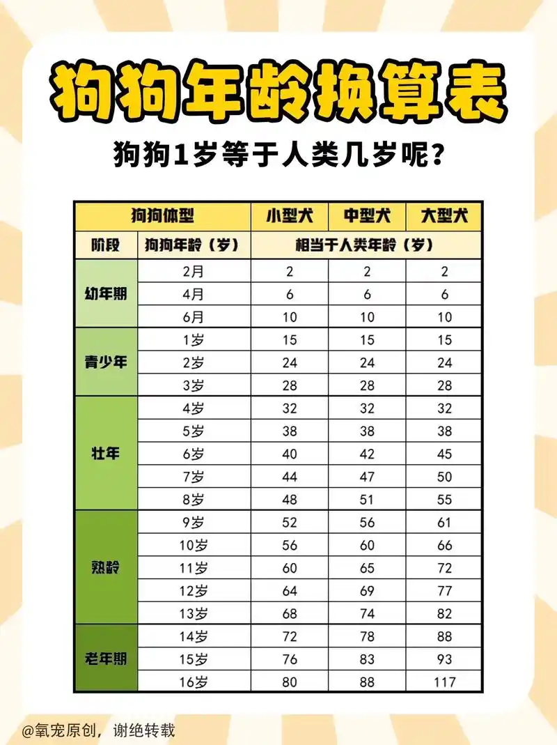 99狗狗年龄对照表|狗狗各年龄段喂养攻略.96幼年期(2-6 - 抖音