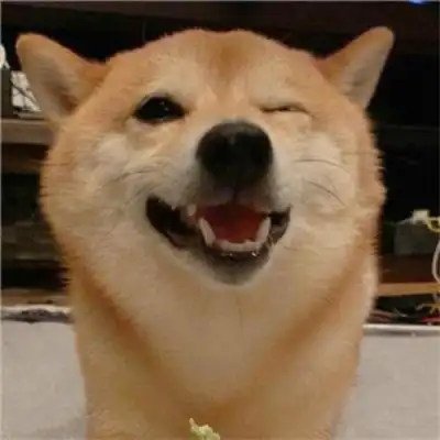 特别可爱的小动物头像呆萌可爱小动物微信图片大全