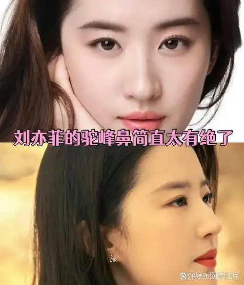 刘亦菲的驼峰鼻简直太有绝了  你们喜欢刘亦菲的鼻子吗?