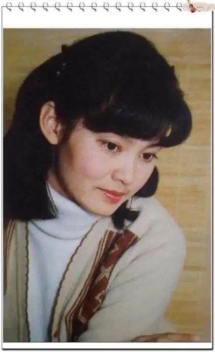 "人到中年" — 潘虹