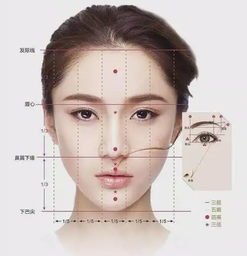 脸型|区花|美女_网易订阅