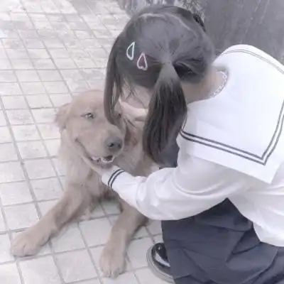 对象不是人系列情头真人,高清可爱情头一半人一半动物图片_情侣头像