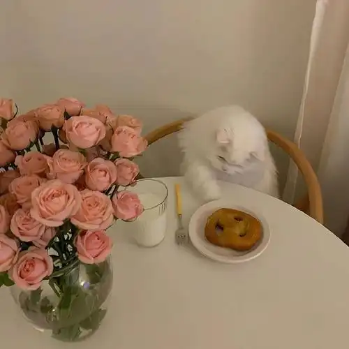 高级ins风朋友圈封面背景图_萌于予-商业新知