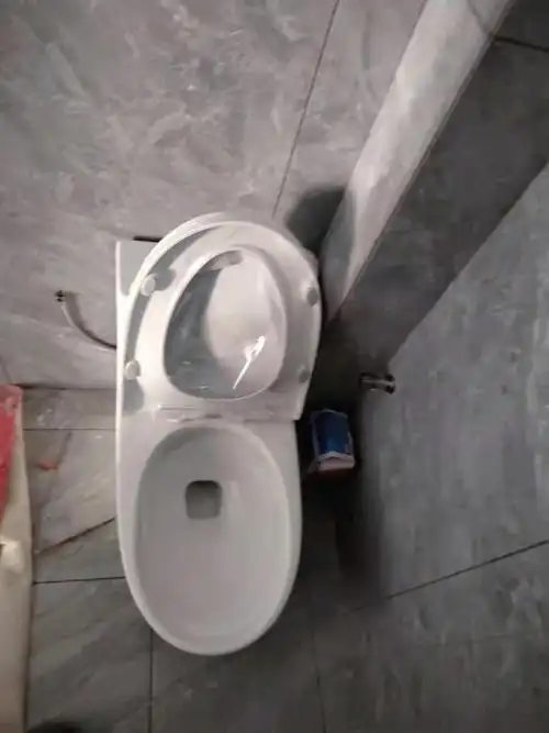 千元马桶也不差呀