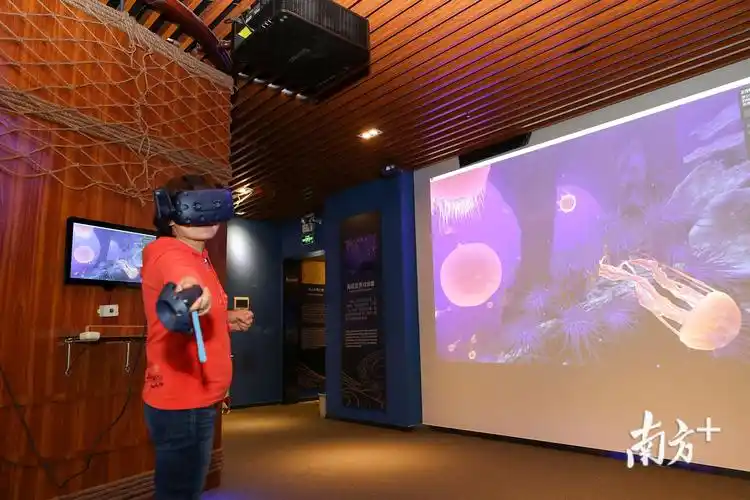 馆内设置的ar互动区