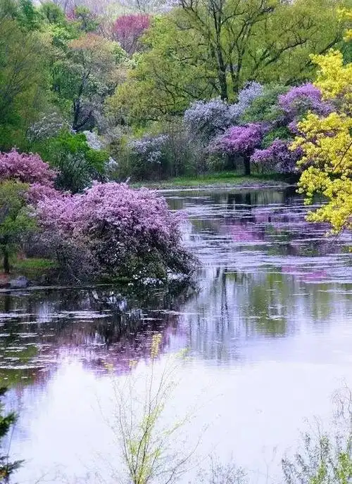 鸟语花香,景色宜人!