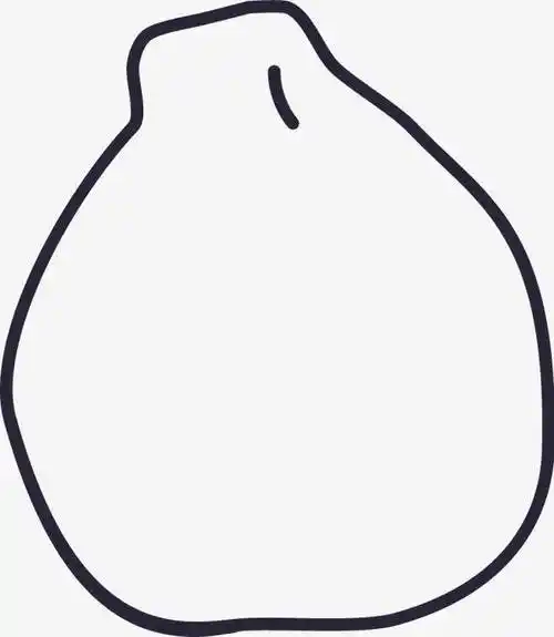 柚子简笔画 柚子简笔画图片大全