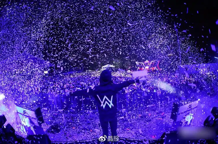 嘻哈火了 电音也不远了|电音|音节|音乐节_新浪网