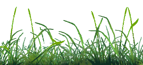 525_240gif 动态图 动图