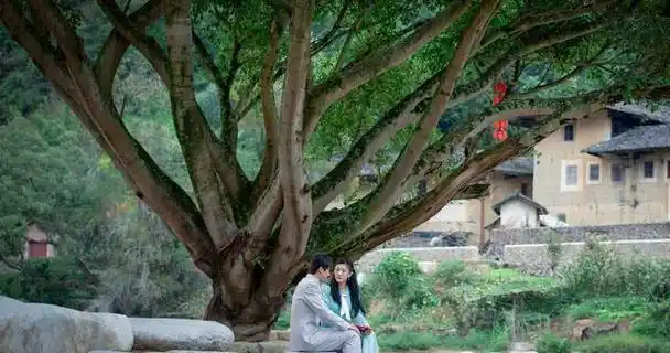 《绝密使命》目前在豆瓣的评分仅为6.