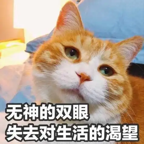 很少两个星期回去一次 然后现在都心情 一言难尽 因为我一会就去学校