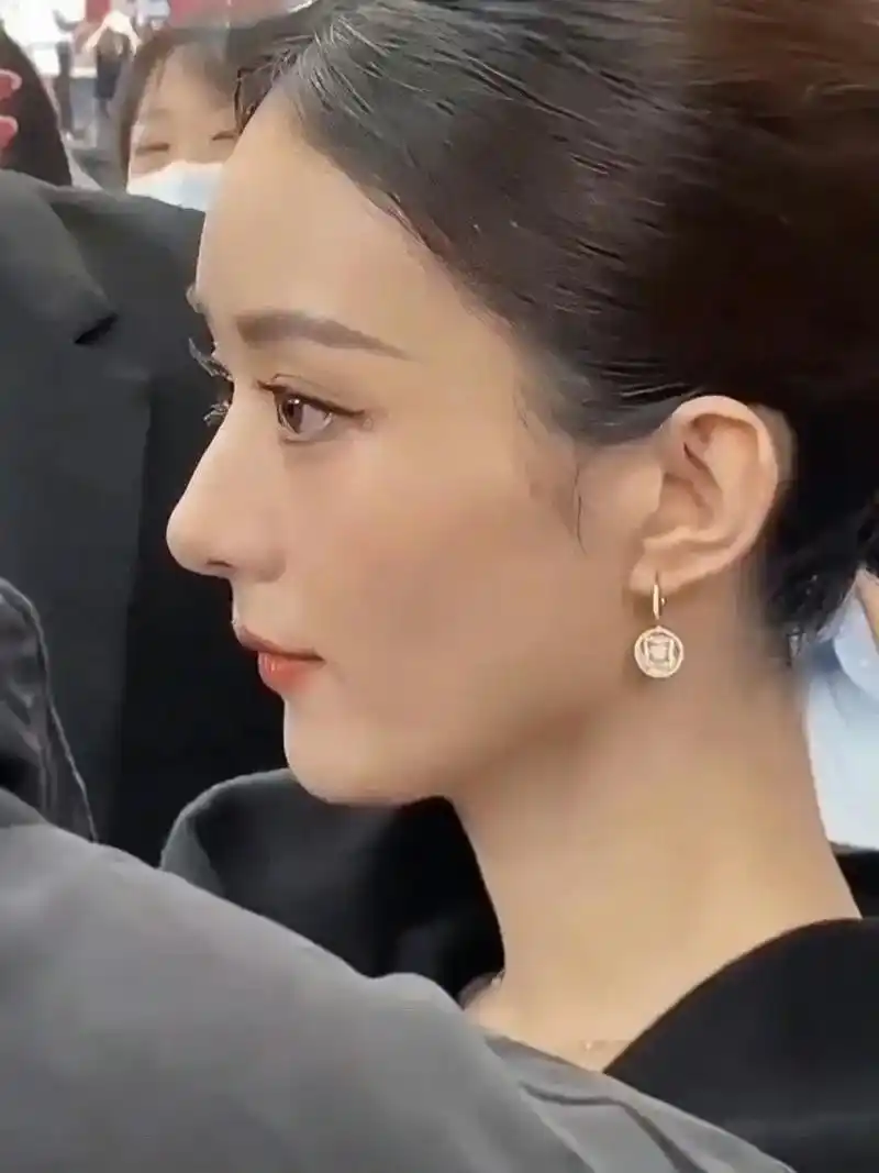 生图颜值超抗打#赵丽颖 #完美侧颜杀 - 抖音