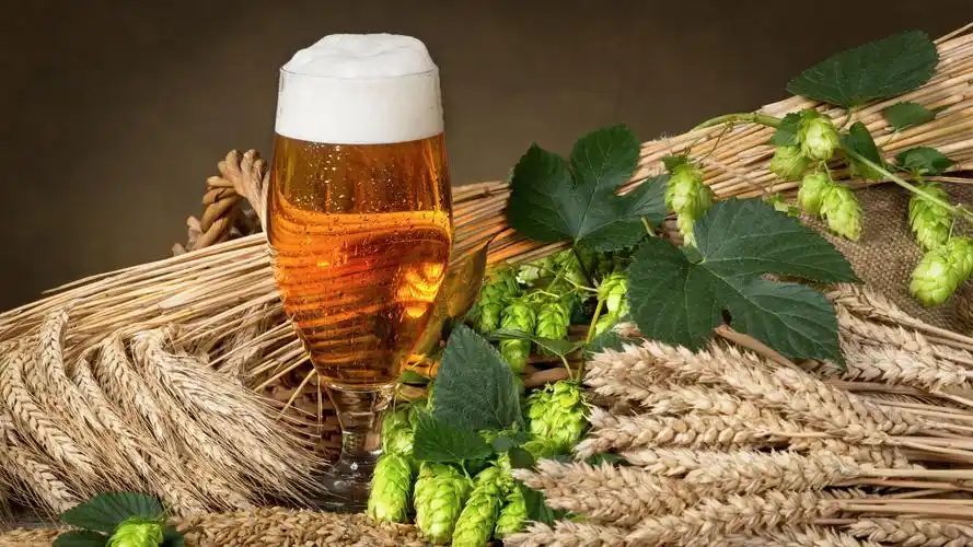 图片大全 美食世界 清凉解暑的啤酒图片 > 清凉解暑的啤酒图片 第14张