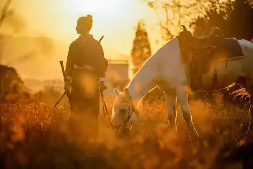 其它 仗剑天涯篇 写美篇六 不爱红妆不爱花, 一人单骑走天涯.