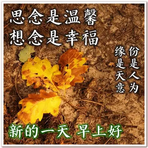 开心早安问候祝福图片温暖心田的早上好问候