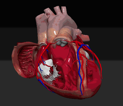 476_412gif 动态图 动图