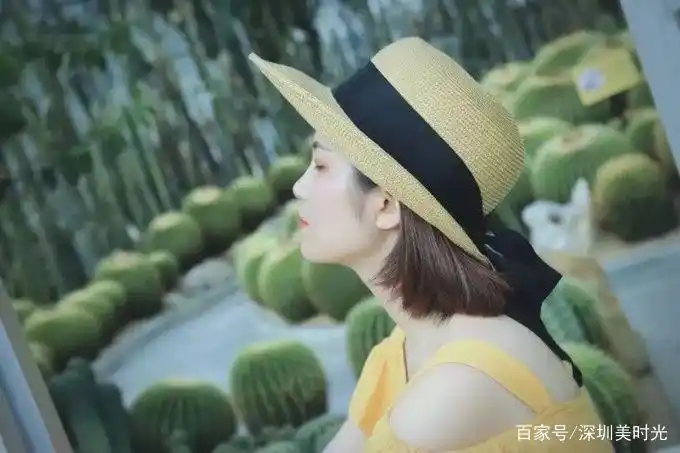 《2019深圳旅行时间表》让你一键解锁在深圳一年的最佳旅行打卡地