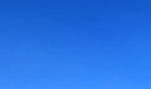 纯白色底图全屏纯白色底图证件照背景图