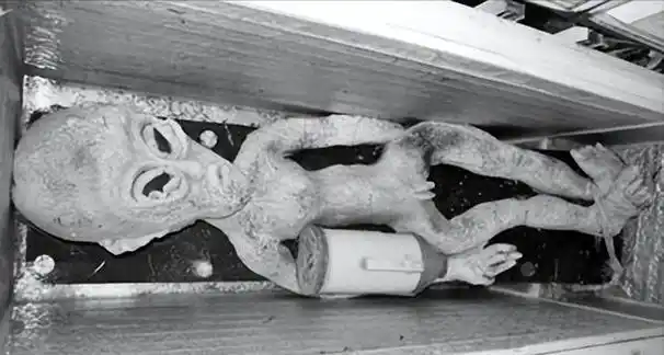 山东男子电死外星人还把尸体存进冰柜警方调查还原真相