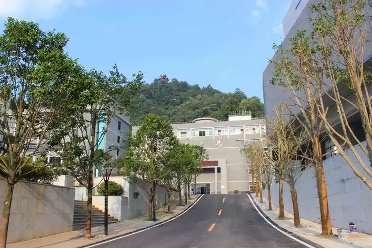 都匀一中高考倒计时100天加油视频征集