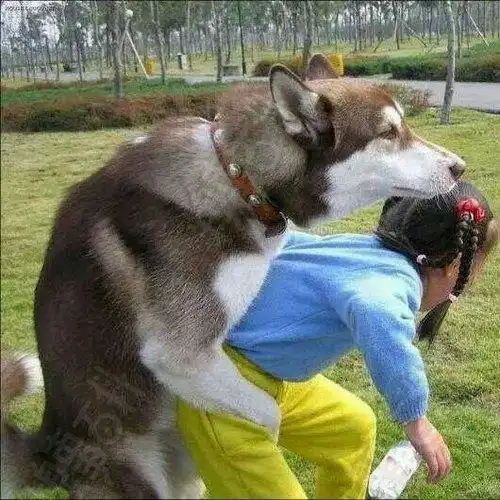 我的昵称你不知