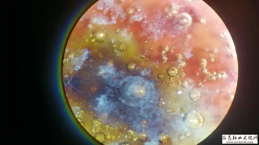 绝杀赝品瓷器死亡气泡鉴定方法